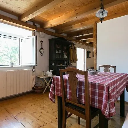 Rural Forest With Private Pool Near Dubrovnik *